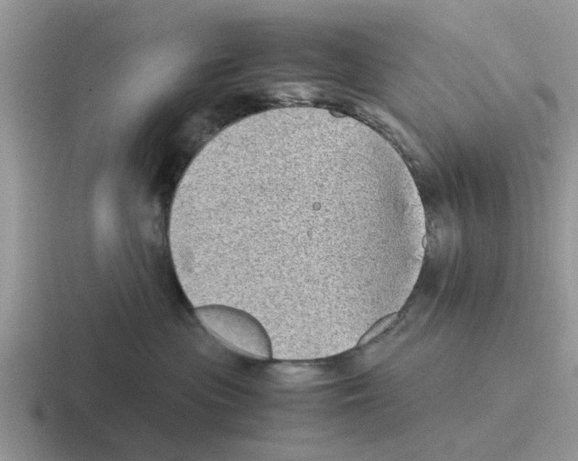 X0000116100477201001040955