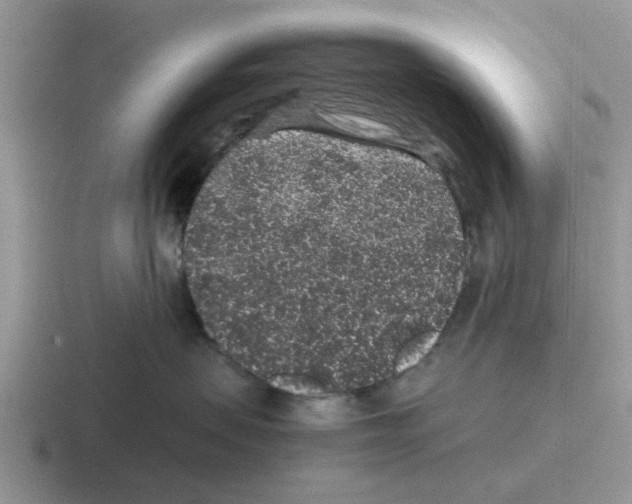 X0000116100479201001040955