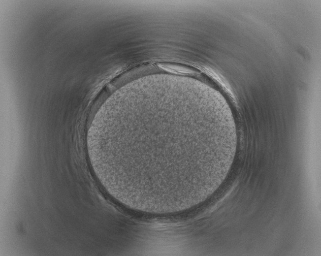 X0000116100481201001040955