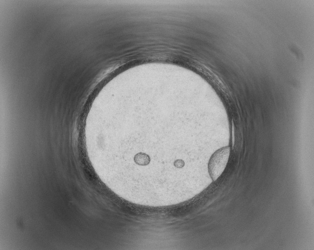 X0000116100483201001040955