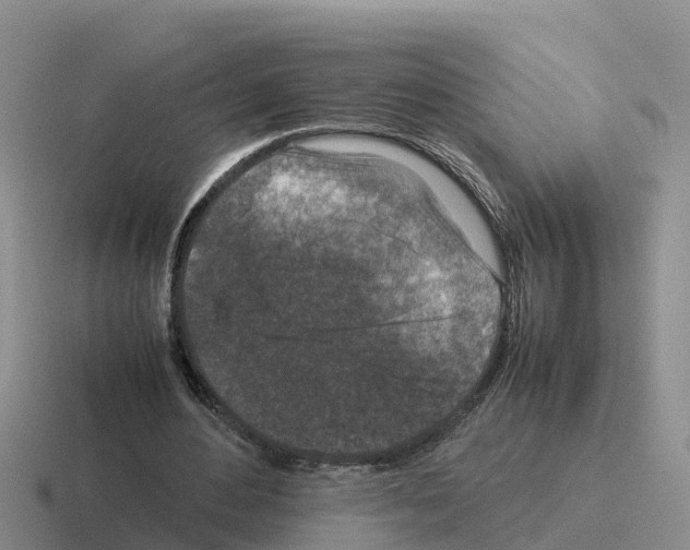 X0000116100484201001040955