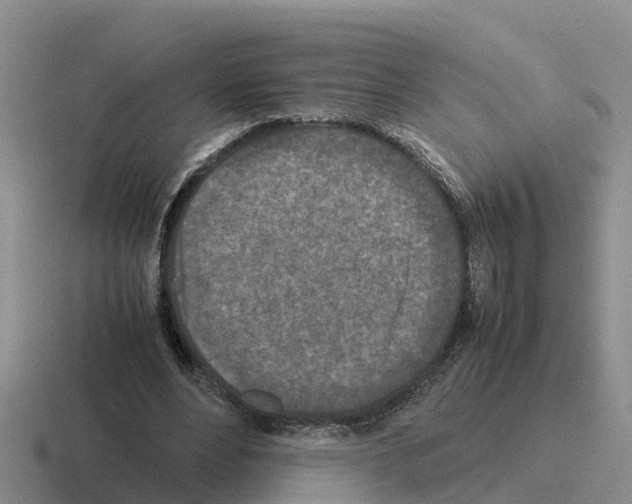 X0000116100488201001040955