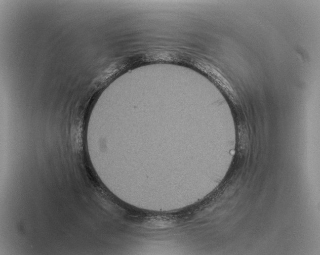 X0000116100489201001040954