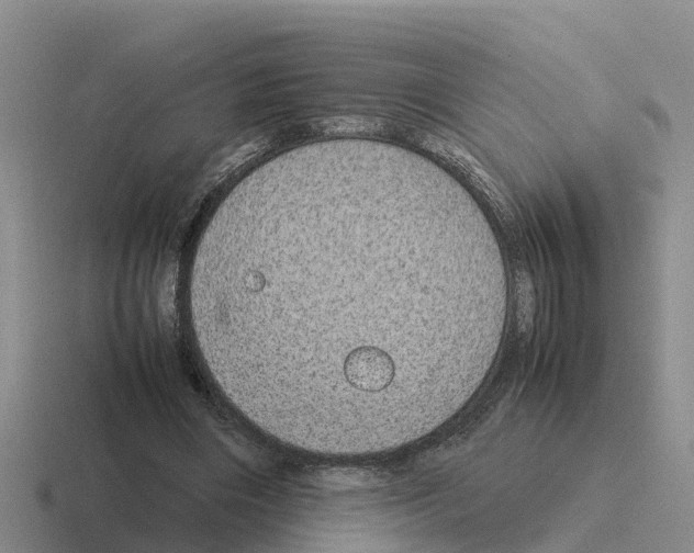 X0000116100490201001040954