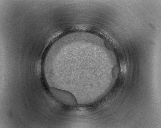 X0000116100492201001040954