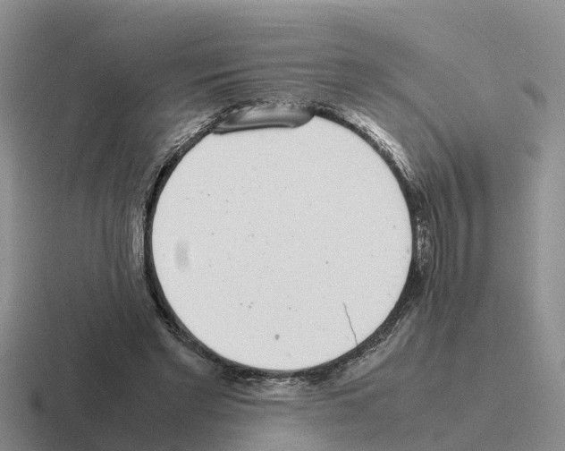 X0000116100493201001040954