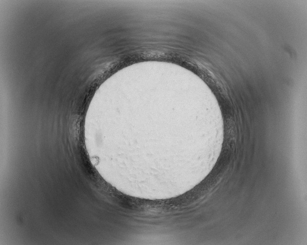 X0000116100495201001040954