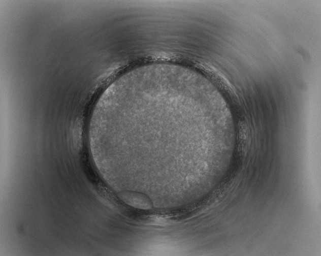 X0000116100496201001040954