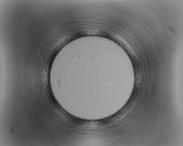 X0000116100497201001040954