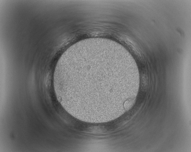 X0000116100499201001040954