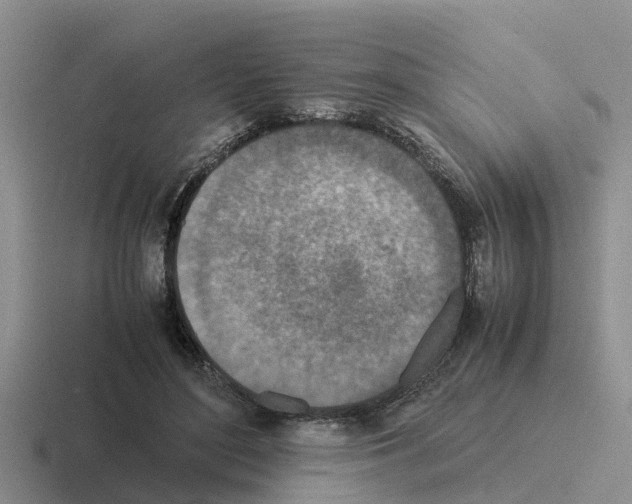 X0000116100500201001040954