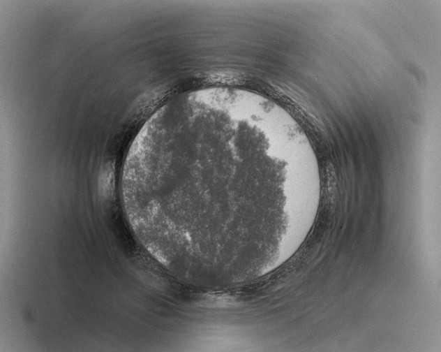 X0000116100502201001040954