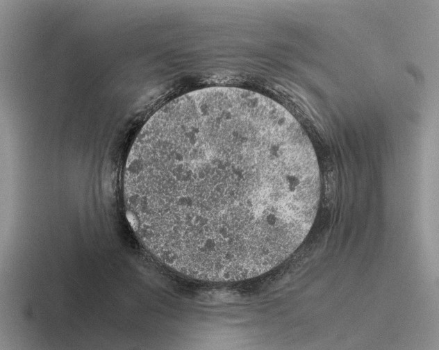 X0000116100503201001040954