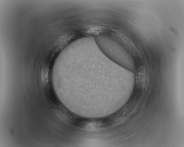 X0000116100504201001040954