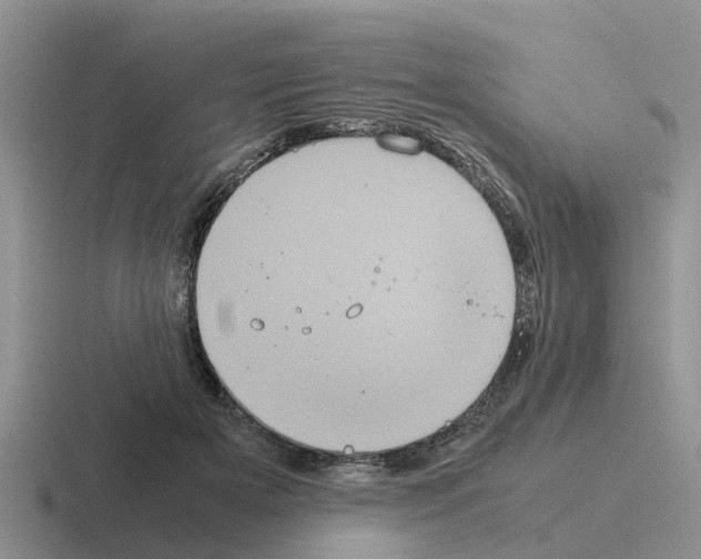 X0000116100505201001040954