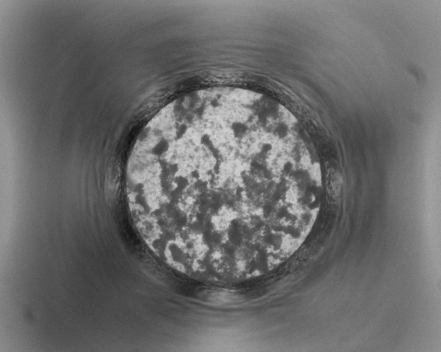 X0000116100507201001040954