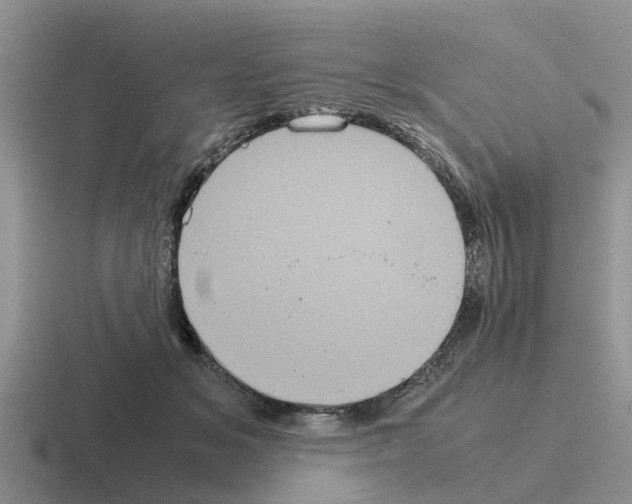 X0000116100509201001040954