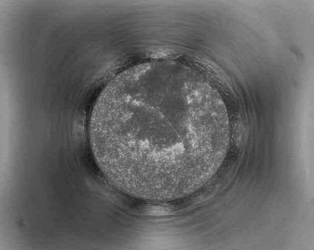 X0000116100510201001040954