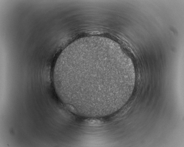 X0000116100512201001040954