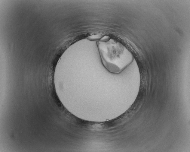 X0000116100513201001040954