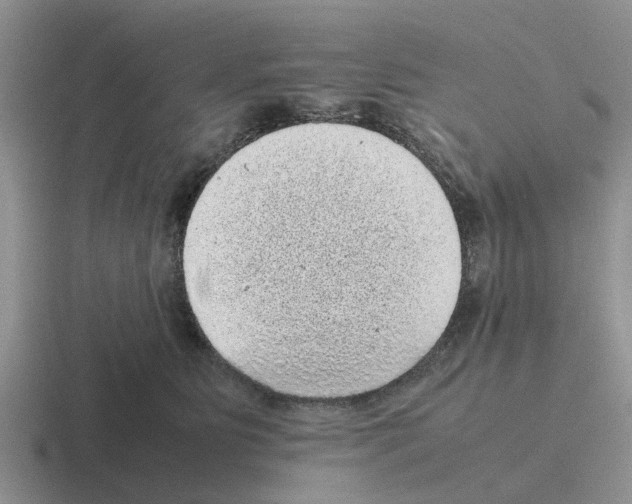 X0000116100515201001040954