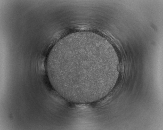 X0000116100516201001040954