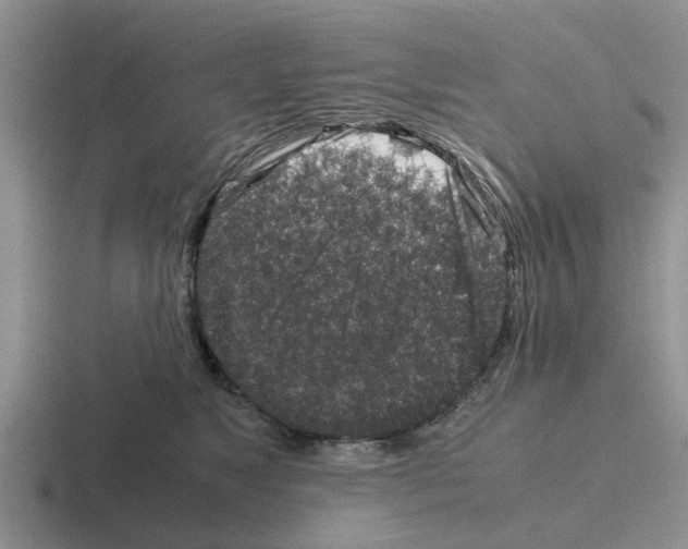 X0000116100517201001040954