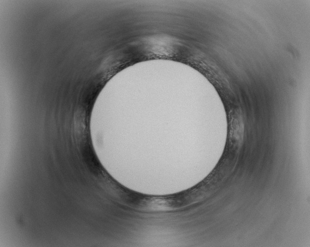 X0000116100518201001040954