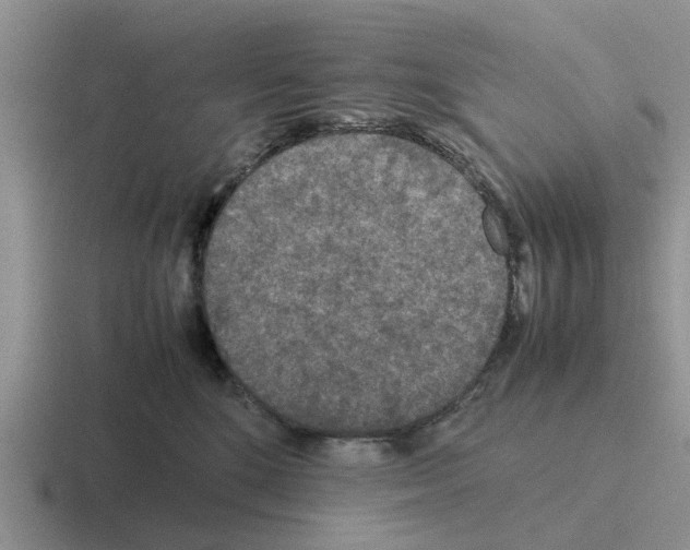 X0000116100520201001040954