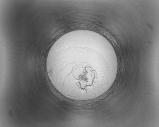 X0000116100521201001040954