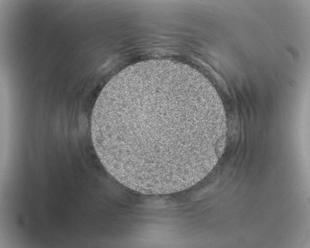 X0000116100523201001040954