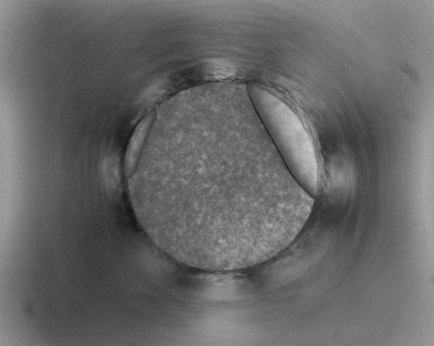 X0000116100524201001040954