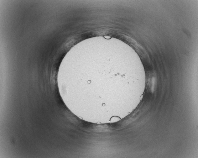 X0000116100525201001040954