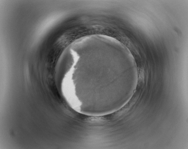 X0000116100526201001040954