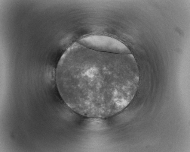 X0000116100528201001040954