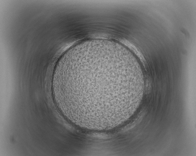 X0000116100529201001040953