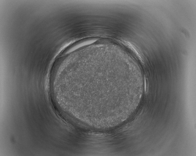 X0000116100531201001040953