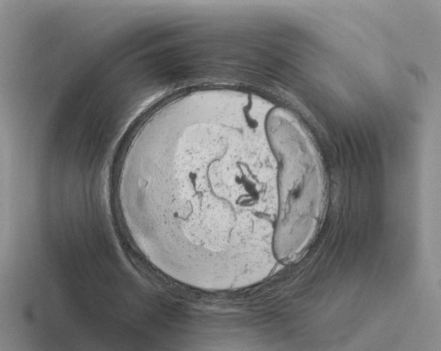 X0000116100534201001040953