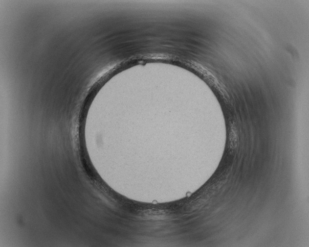 X0000116100535201001040953