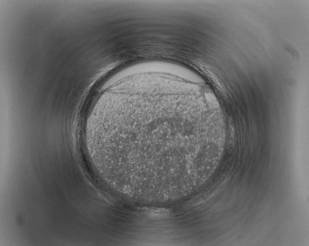 X0000116100539201001040954