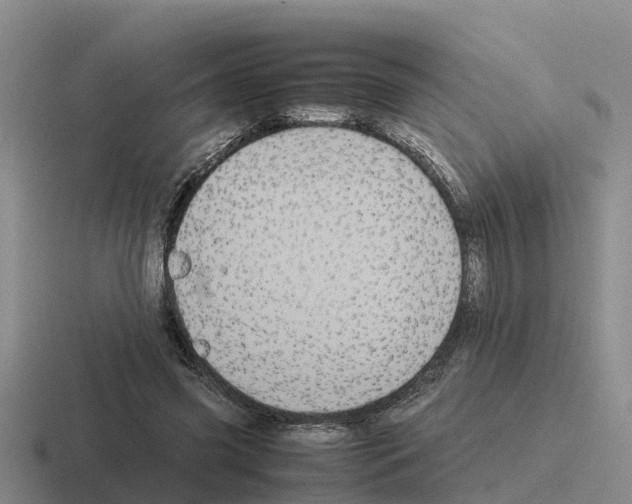 X0000116100541201001040954