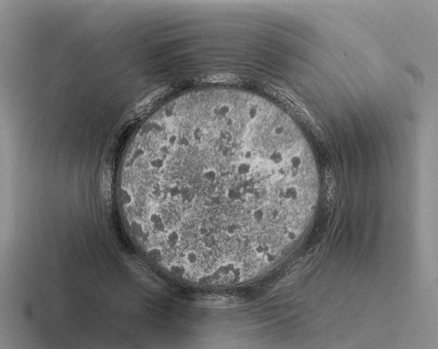 X0000116100542201001040954