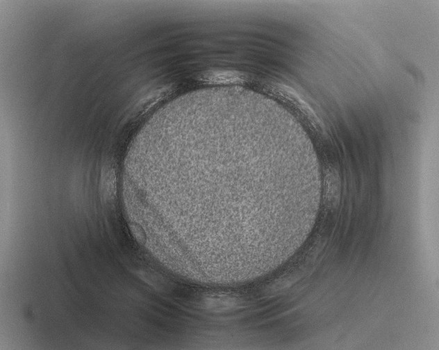 X0000116100549201001040954