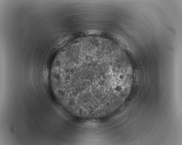 X0000116100550201001040954