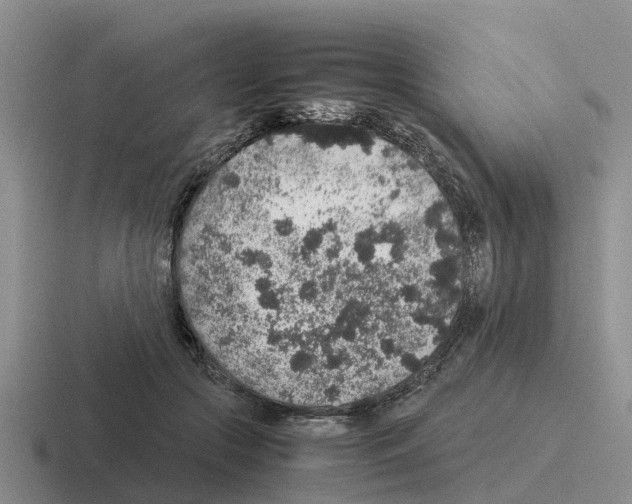 X0000116100553201001040954