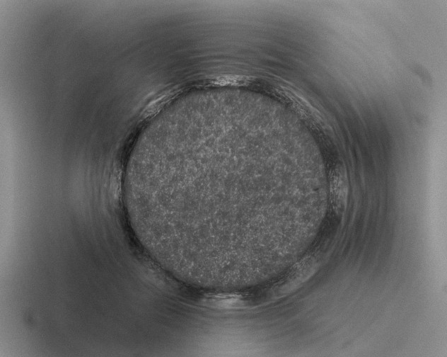 X0000116100554201001040954