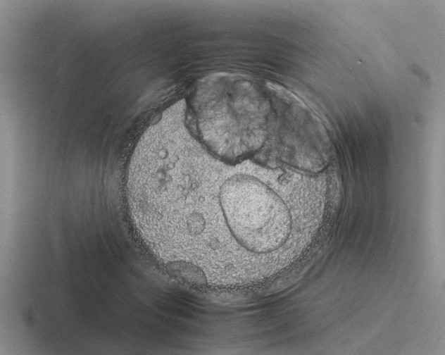 X0000116100557201001040954