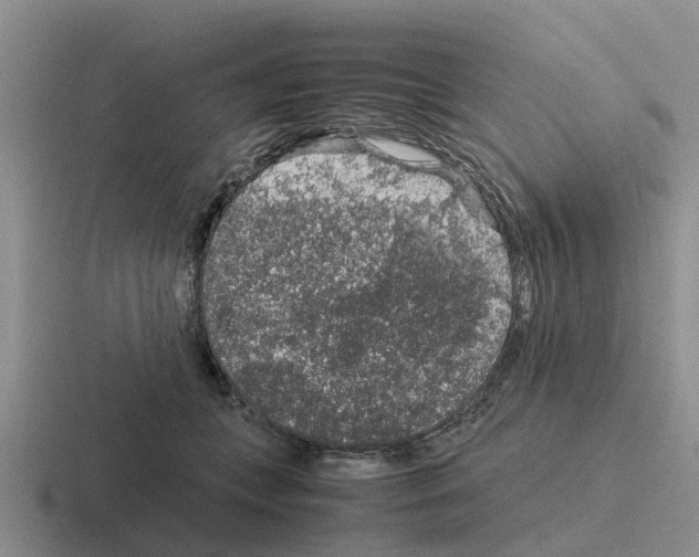 X0000116100559201001040954