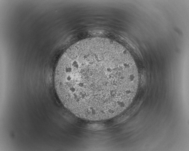 X0000116100561201001040954