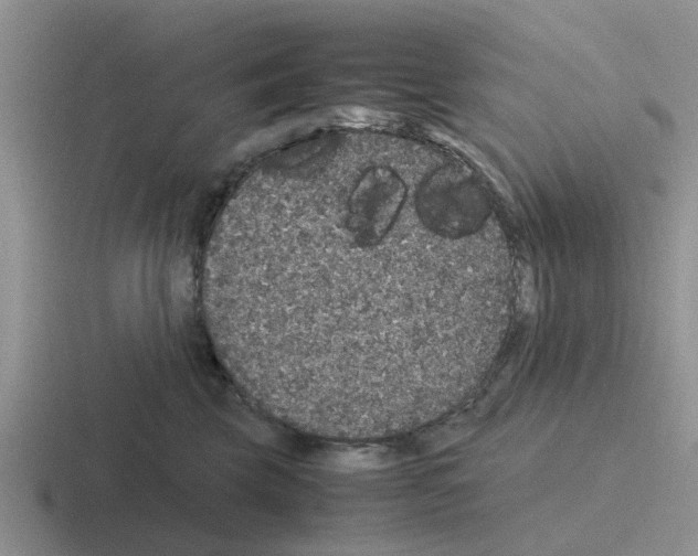 X0000116100569201001040954